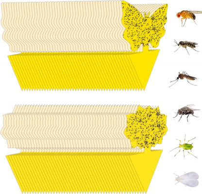 Yellow Sticky Fruit Fly Trap 36 Pack, Dual-Sided Gnat Traps for Plants | Catches Fungus Gnats, Fruit Fly, Whitefly, Aphid, Leaf Miner, No Harm & Odorless, Safe For Indoor Garden & Outdoor Plant Use
