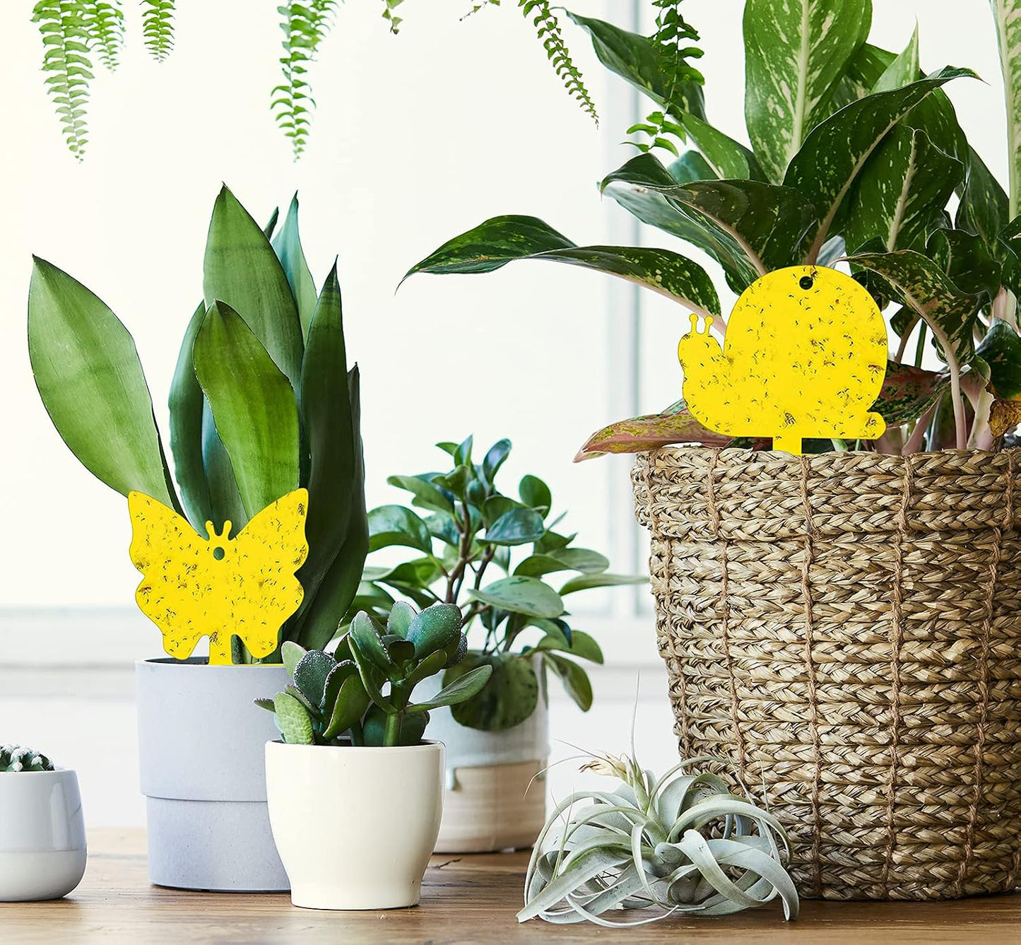 Gideal 2-Pack Yellow Sticky Fly Traps Pest Control for Indoor/Outdoor Use, Gnat Trap for Flying Plant Insect