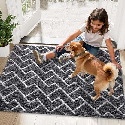 OLANLY Front Door Mat, Non-Slip Rubber Backing, Dirt Resistant and Absorbent, Washable, Easy to Clean Low-Profile Indoor Doormat for Back Door, Entryway, Inside Entrance, 32x20, Grey