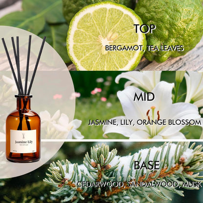 Reed Diffuser Set, 8.12 fl.oz Citrus Scent Oil Diffuser with Sticks, Long-Lasting Home Fragrance Reed Diffuser for Bathroom Shelf Decor, Air Freshener Room Diffuser, 2 Pack