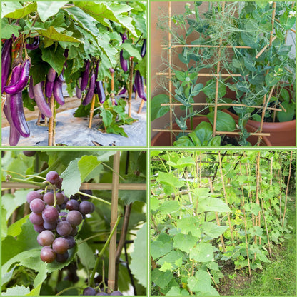 GAGINANG Plant Stakes Natural Garden Bamboo Sticks for Indoor and Outdoor, 20pcs for Tomatoes, Beans, Potted Plants - 18 inches