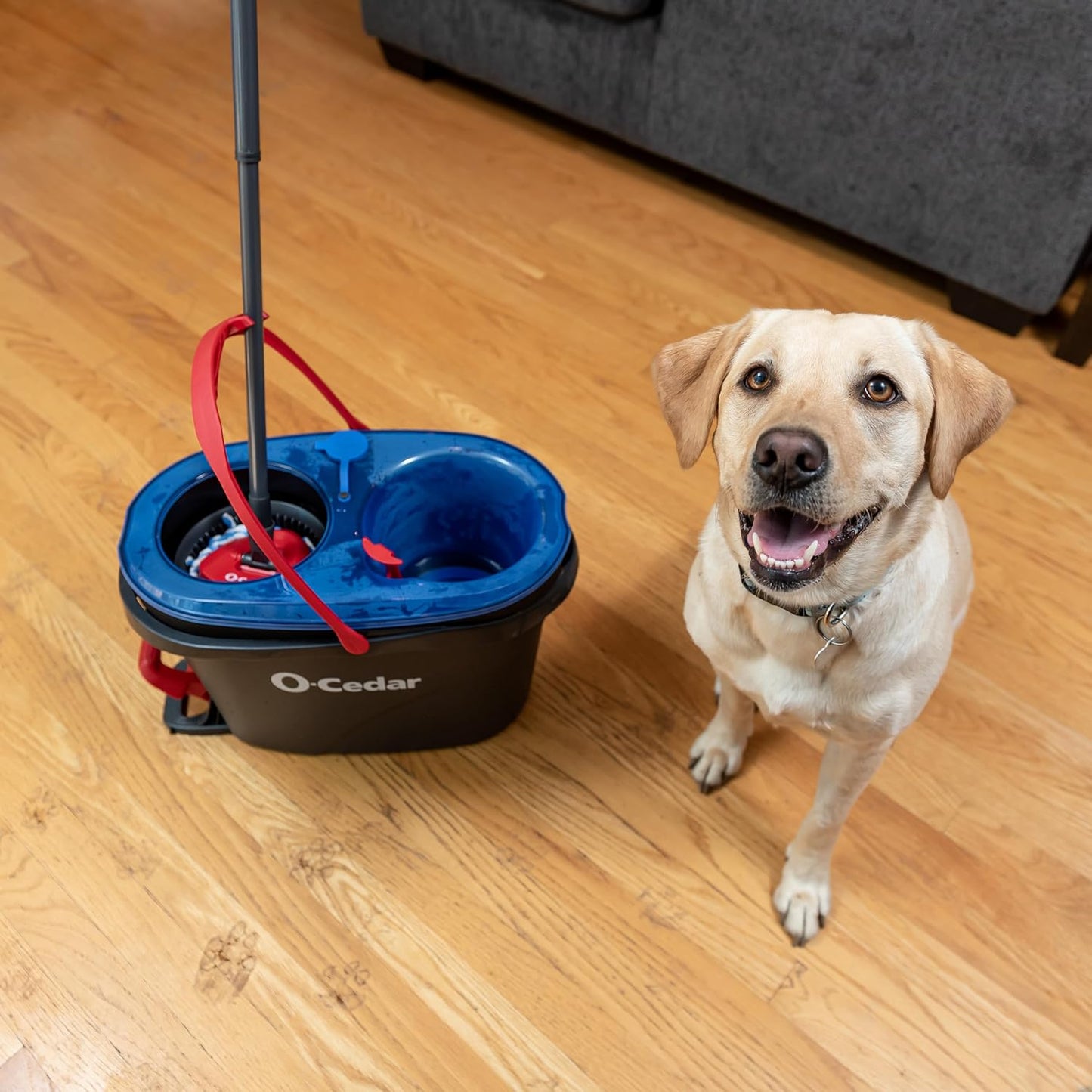 O-Cedar RinseClean Spin Mop & Bucket System + 2 Extra Mop Heads | Clean with Water | Removes 99% of Bacteria