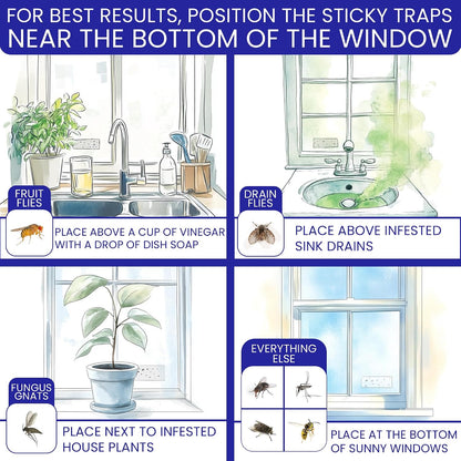 50 Window Fly Traps Sticky Non-Toxic Clear Fly Paper Indoor for Home. No Mess Flies Window Sticky Traps Bug Flies Strips Indoors. Fruit and Housefly Trap Indoor Flypaper Tape Gnat Catcher Killer.