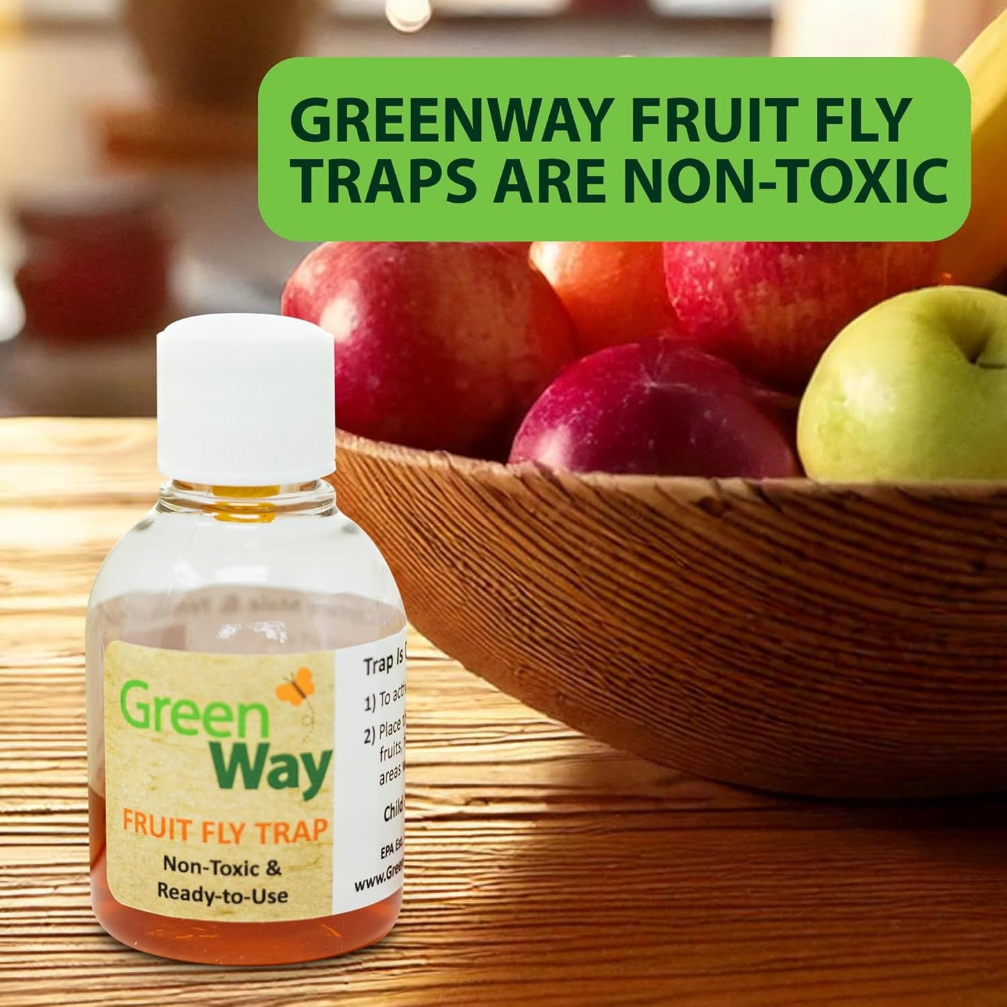 Greenway Traps Fruit Fly Trap, Indoor and Kitchen, Reduces Fruit Fly Infestations, Non-Toxic, Long-Lasting, 1 Pack (Includes 2 Traps)