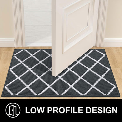Finchitty Indoor Door Mat, Dirt Resistant and Absorbent, Low-Profile, Non-Slip, Washable Inside Floor Mats for Front Door, Back, and Entrance, 32" x 20", Grey