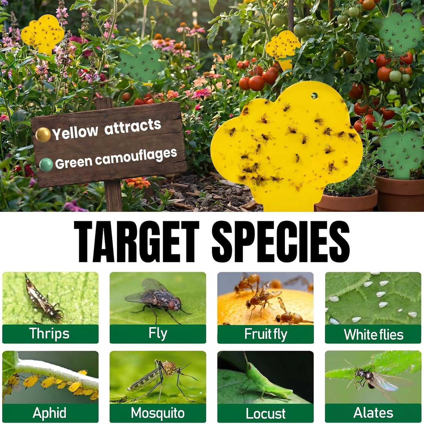 100 Pack Yellow & Green Sticky Gnat Traps for Plants - Fungus Gnat Killer, Fruit Fly Traps for Indoors, Gnat Sticky Traps for Plants, Family Friendly Design, Flower + Cloud Shapes