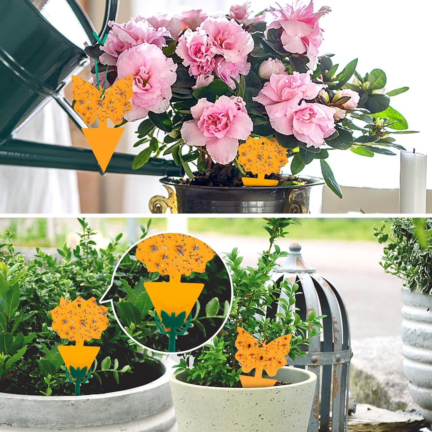 4 Pack Disposable Wasp Traps Outdoor Hanging Carpenter Bee Traps for Outside Yellow Jacket Trap Hornet Trap Wasp Catcher for Bug Flies Patio Garden