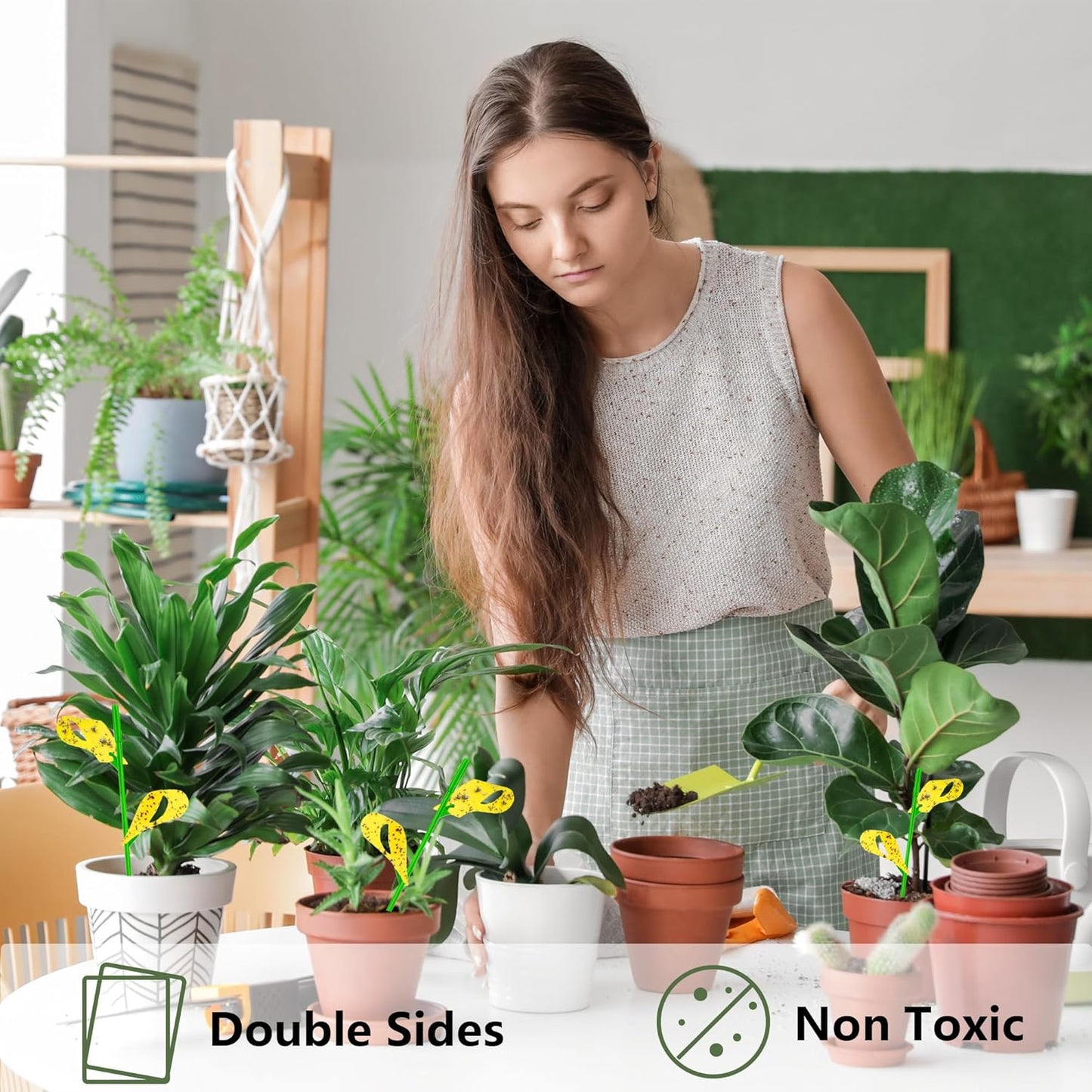 30PCS Fruit Fly Traps for Indoors Gnat Traps for House Indoor Yellow Sticky Traps for Plant Gnats Catcher for Whiteflies Fungus Gnat Mosquitoes Thrips... Stake Holders Included
