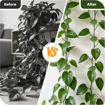 60 Pieces Plant Wall Clips with 72 Pieces Self Adhesive Stickers, Leaf Shaped Invisible Vine Clips for Climbing Plants Indoor Outdoor Decoration Cable Management