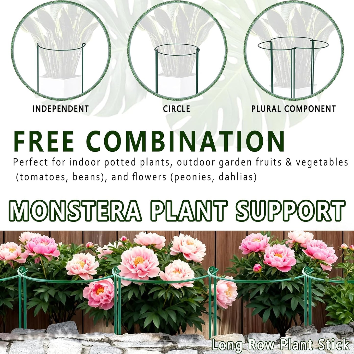 6 Pack Detachable & Assemblable Metal Plant Support Stakes - Garden Support Ring, Tomato Seedling Cage, Young Monstera/Pothos for Growing Indoor/Outdoor (10" W x 16" H)