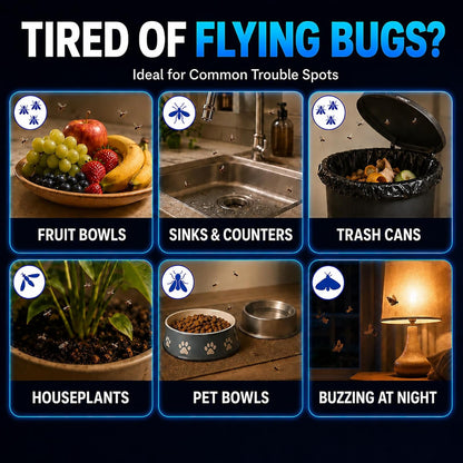Flying Insect Trap Indoor Plug in, UV Light Fly Trap for Home | with 10 Sticky Glue Cards to Catch Fruit Flies, Gnats & Moths, Quiet Odor-Free Bug Catcher for Kitchen, Bedroom,Living Spaces