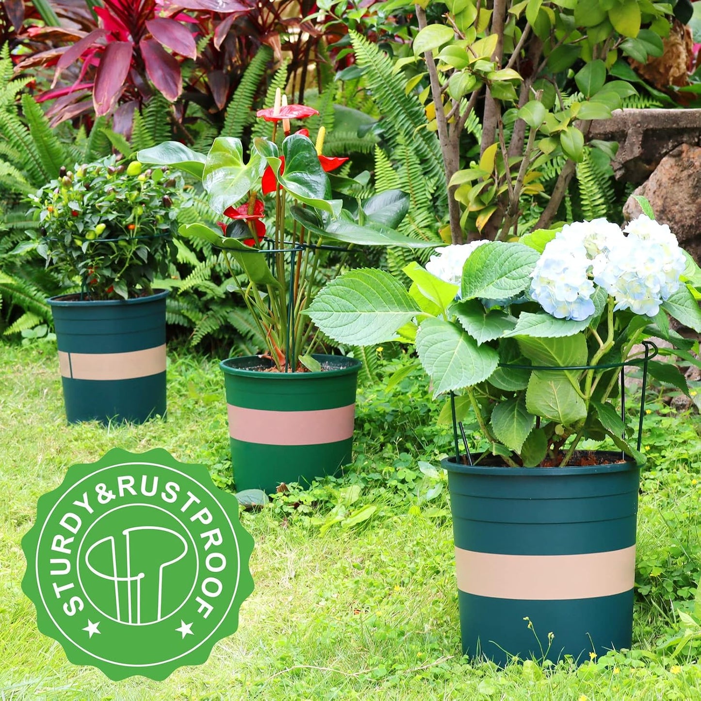 LEOBRO Plant Support Plant Stakes, 12pcs Peony Cages and Supports, Metal Garden Stakes Plant Supports, Plant Support Stakes, for Peony, Tomato, Hydrangea, Indoor Outdoor Plants, 10" W x 24" H