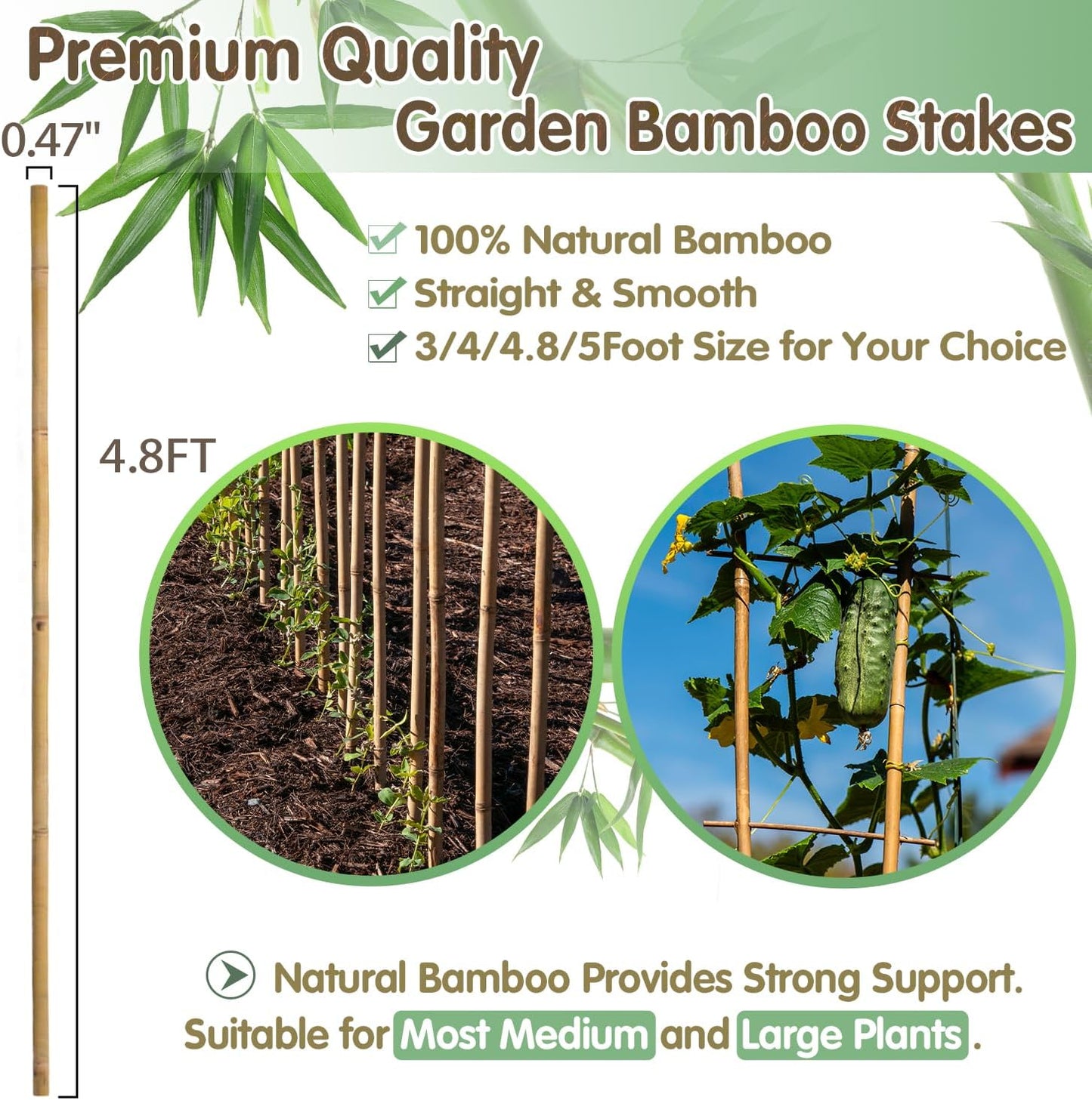 Plant Stakes,18 Inches Natural Garden Bamboo Sticks,BOVITRO 20Pcs Plant Support Stakes for Tomatoes,Beans,Vegetable and Potted Plants