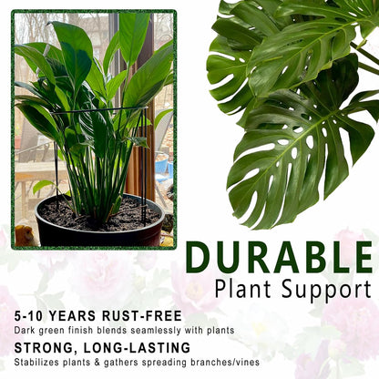 6 Pack Detachable & Assemblable Metal Plant Support Stakes - Garden Support Ring, Tomato Seedling Cage, Young Monstera/Pothos for Growing Indoor/Outdoor (10" W x 16" H)
