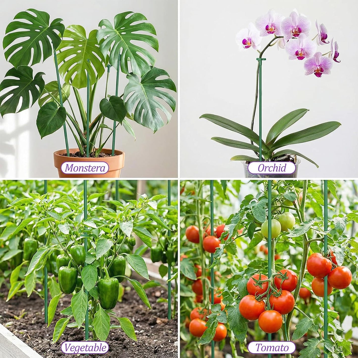 Nogeqi 20 Pack Adjustable Plant Support Stakes,Orchid Stakes and Clips,Plant Holder Stick for Garden,Plants Supports for Tomato Rose Outdoor Indoor Plants(with 10 Extenders)