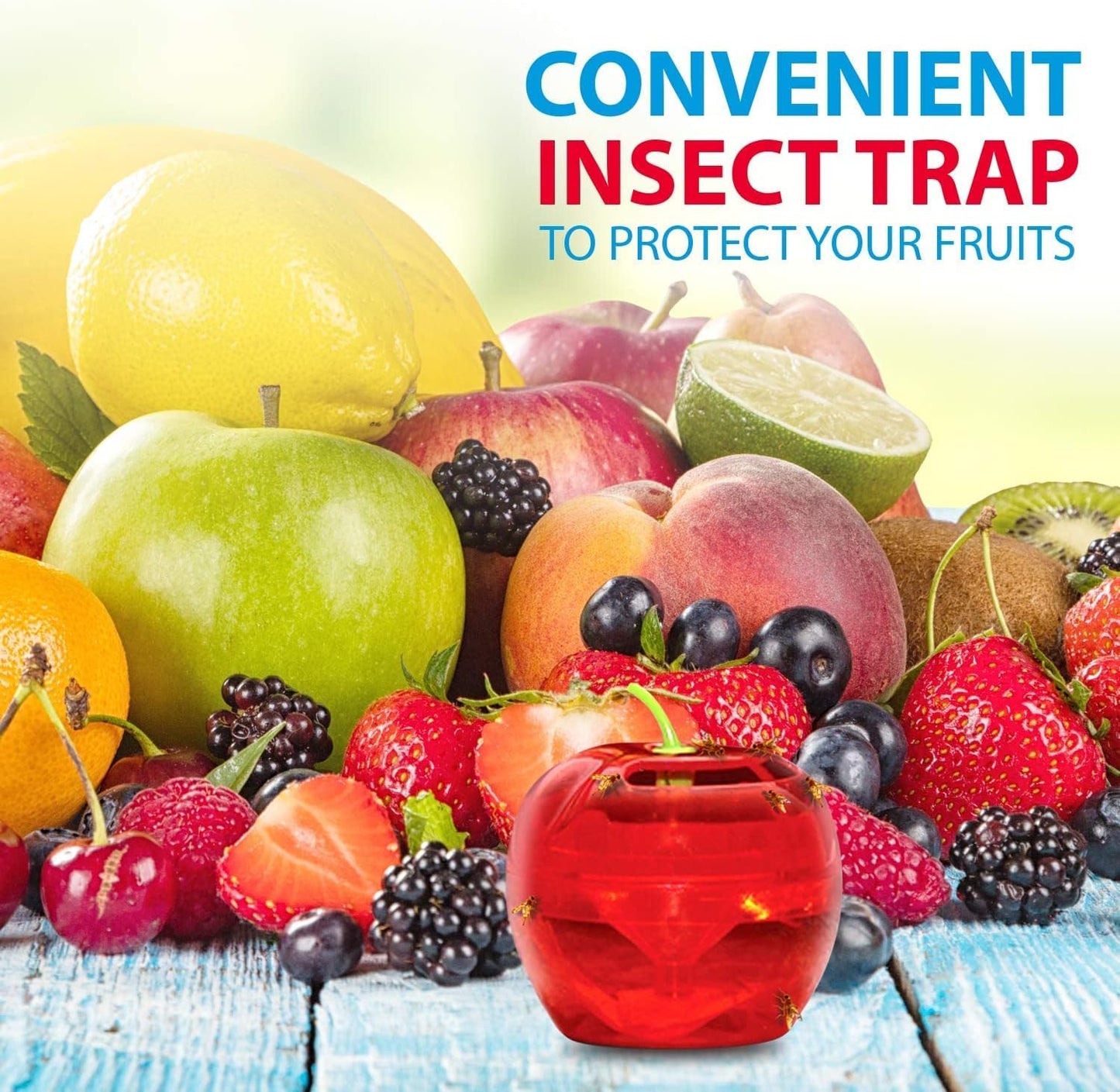 Raid Fruit Fly Trap Bundle, Set of 3 2-Pack Apple Fruit Fly Catcher Indoor Trap, 360-Day Supply of Fruit Fly Traps for Kitchen & Dining Areas, Reusable Gnat Traps w/Food-Based Lure for Fruit Flies