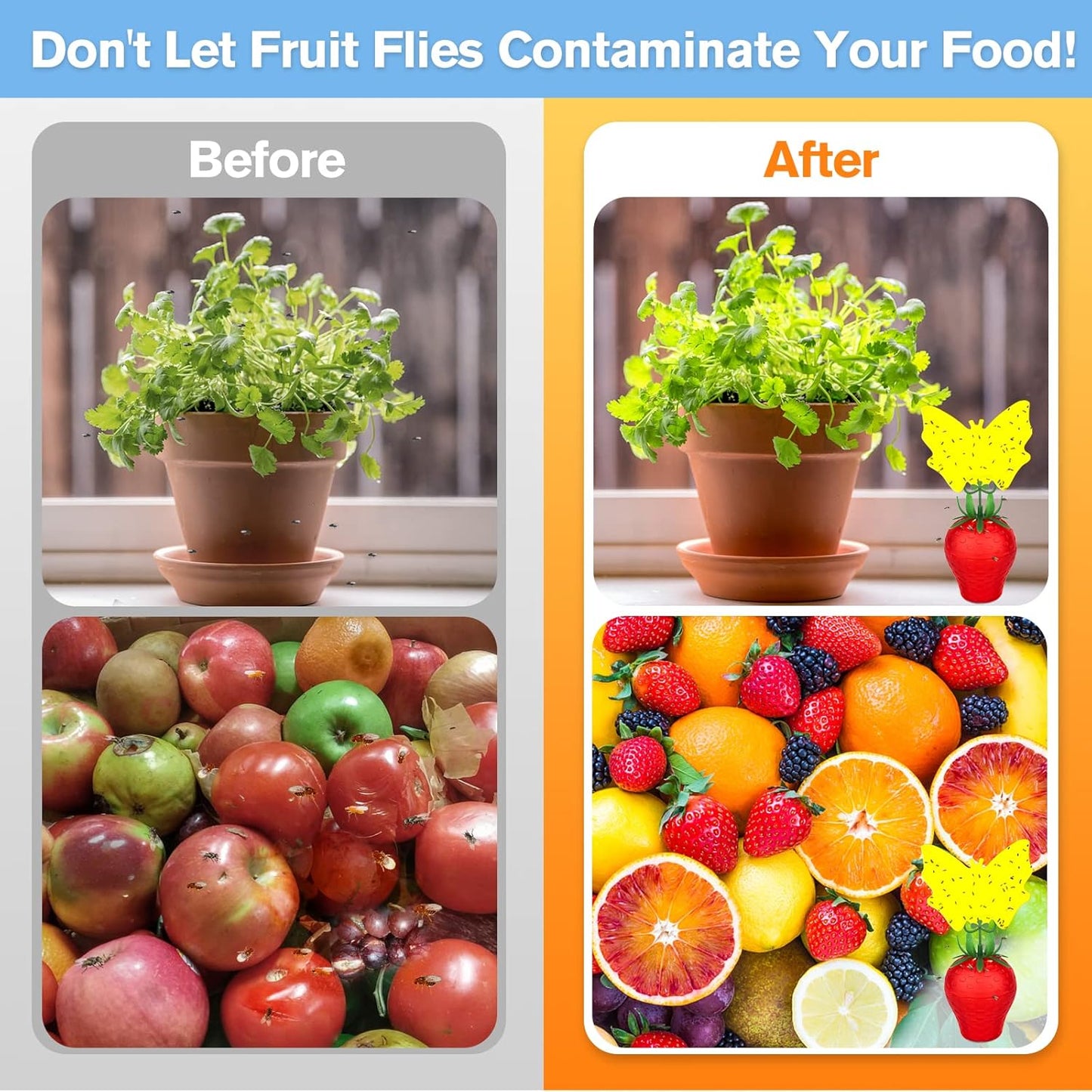 Fruit Fly Traps for Indoors, Gnat Killer Pet&People Safe, Effective Fruit Flies Catcher for Mosquitoes, Gnats, Moths, Durable Flying Insect Trap with Sticky for Home Plants Kitchen Garden