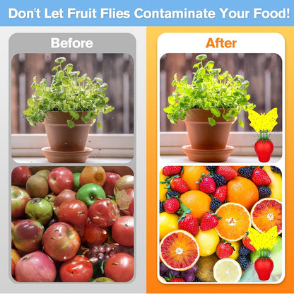 Fruit Fly Traps for Indoors, Gnat Killer Pet&People Safe, Effective Fruit Flies Catcher for Mosquitoes, Gnats, Moths, Durable Flying Insect Trap with Sticky for Home Plants Kitchen Garden