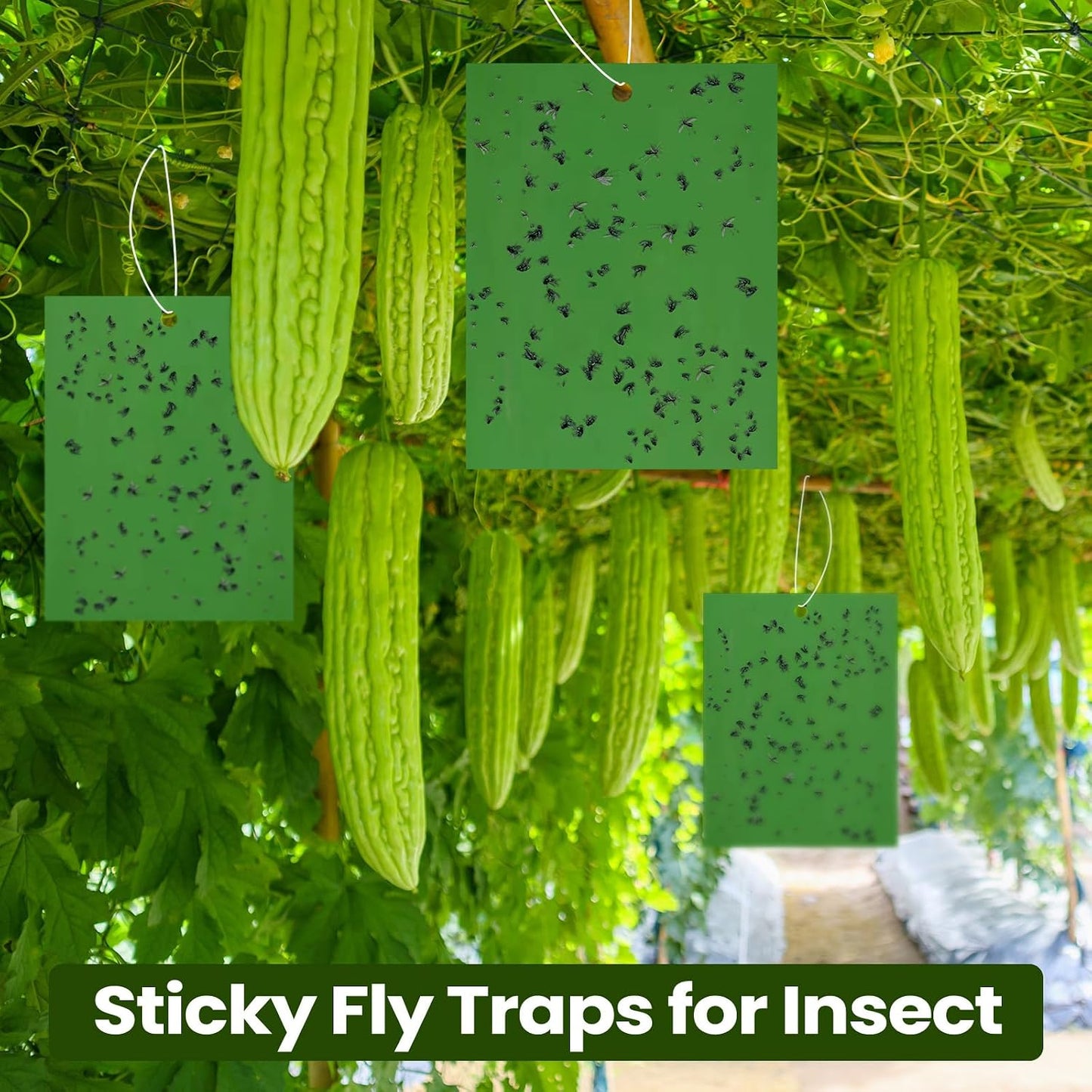 Qualirey 150 Pcs 6x8 Inch Yellow Sticky Traps for Gnats, Dual-Sided Sticky Gnat Traps for Indoor Outdoor Plants, Pest Control for Fungus Gnats, Fruit Flies, Whiteflies – Bulk Pack with Twist Ties