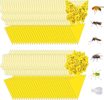 36 Pack Fruit Fly Traps for Indoors, Gnat Traps for House Indoor, Sticky Traps Fungus Gnats Killer for Mosquito and Flying Insects, Bug Pest Insect Catcher Killer for Houseplant