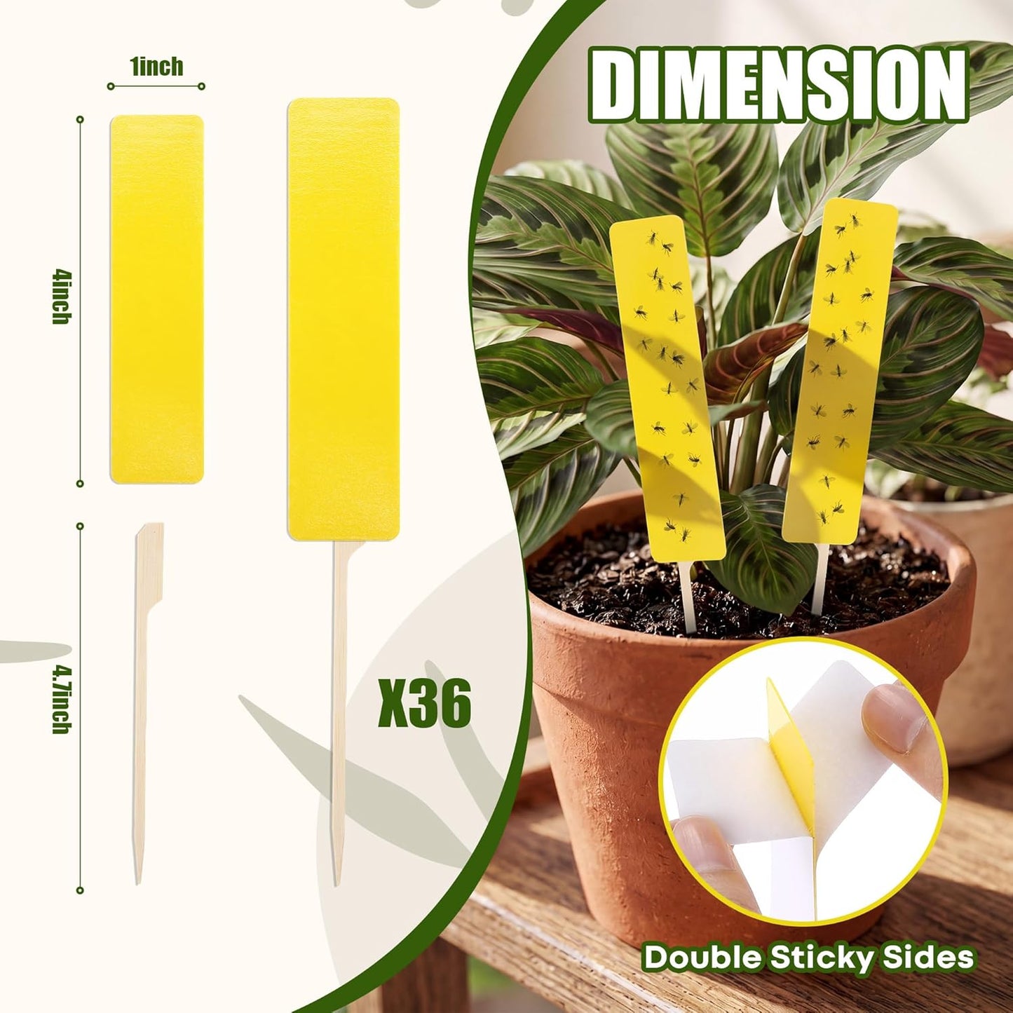 36 PCS Yellow Sticky Traps for Plant Gnats, Dual Sided Fungus Gnat Trap for Live Plants Indoor Outdoor, Waterproof Plant Sticky Traps for Home, Farm, Garden, Hydroponics & Greenhouse (4" x 1")
