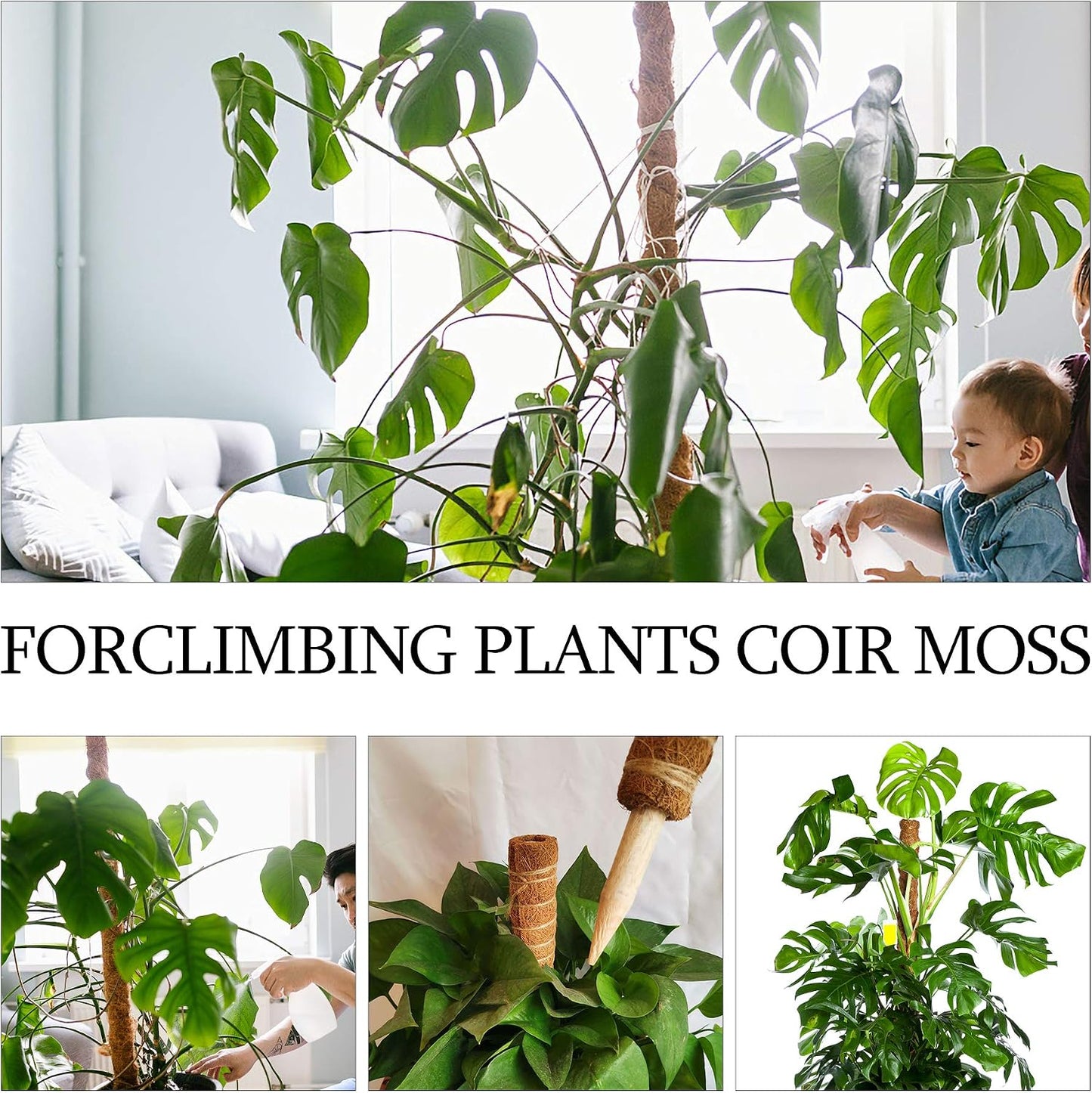 Augshy Moss Pole, 27 Inch Moss Poles - 2Pcs 17 Inch Plant Stakes Moss Sticks for Monstera Indoor Creepers Plant Support Extension Climbing Plants