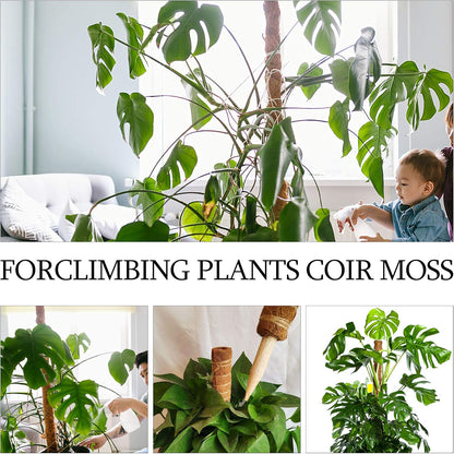 Augshy Moss Pole, 27 Inch Moss Poles - 2Pcs 17 Inch Plant Stakes Moss Sticks for Monstera Indoor Creepers Plant Support Extension Climbing Plants