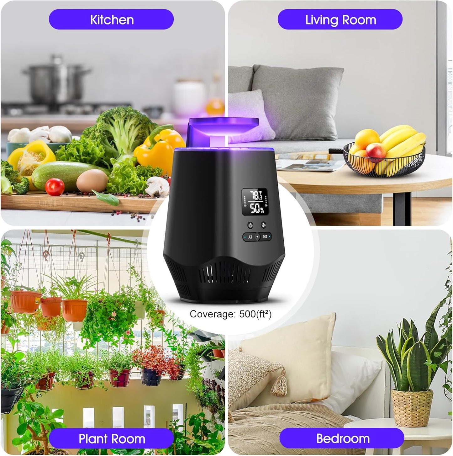 Fruit Fly Traps for Indoors, Smart Fly Trap Indoor Bug Zapper Gnat Traps for House Indoor with Temperature and Humidity Sensor, 10PCS Sticky Boards Black 01