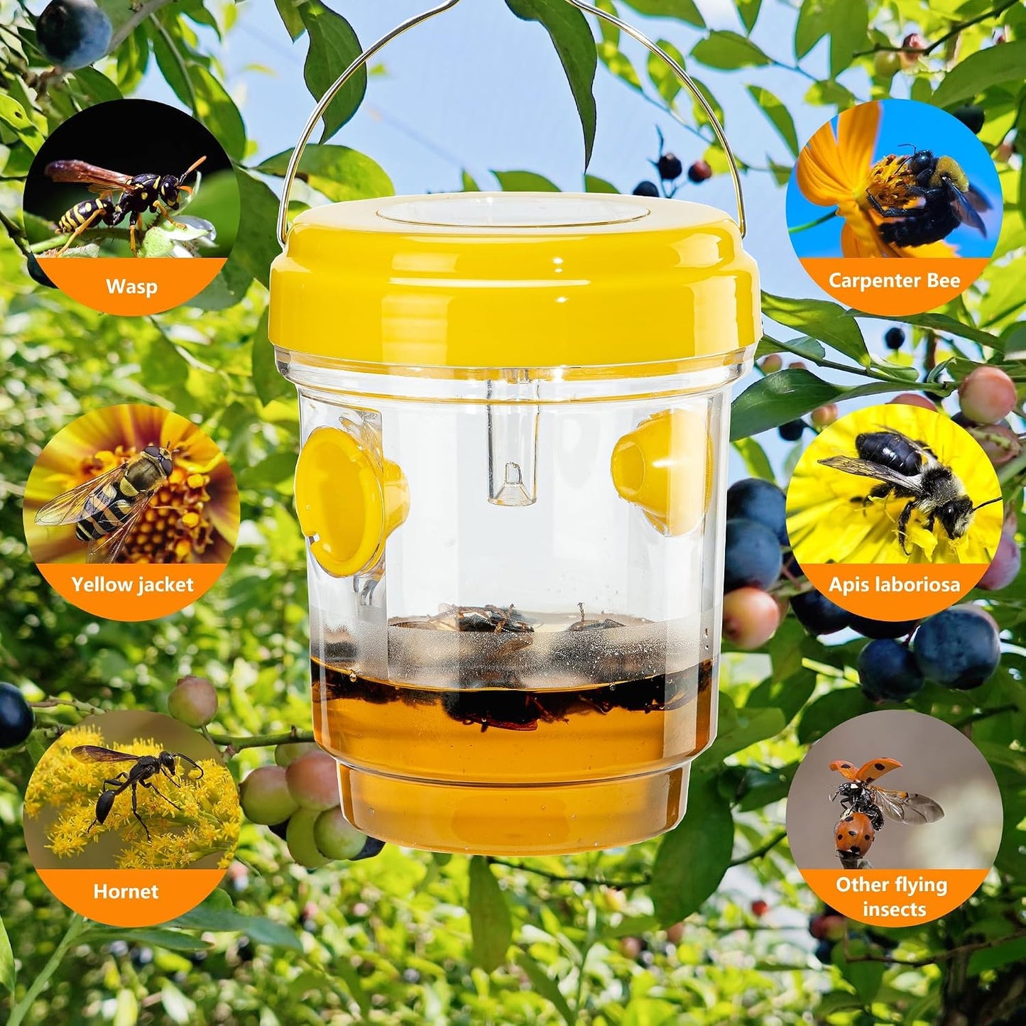 Wasp Traps Outdoor Hanging, Carpenter Bees, Yellow