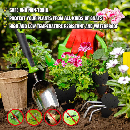 96PCS Fruit Fly Sticky Traps, Gnat Traps Insect Trap for Plants Kitchen Indoor and Outdoor