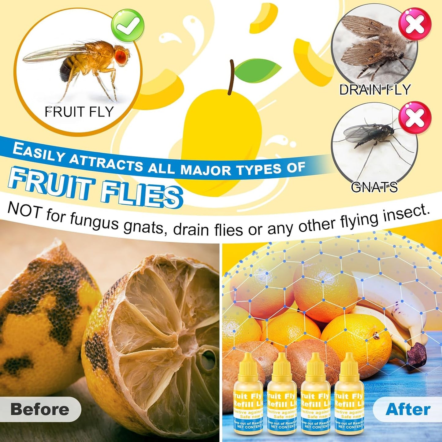 Qualirey Fruit Fly Trap for Indoor and Kitchen Use, 0.68 oz Each Bottle Fruit Fly Trap Refill Liquid, Ready to Use, Safe Near Food, Efficient Lure Refill Liquid, Yellow(12 Pack)