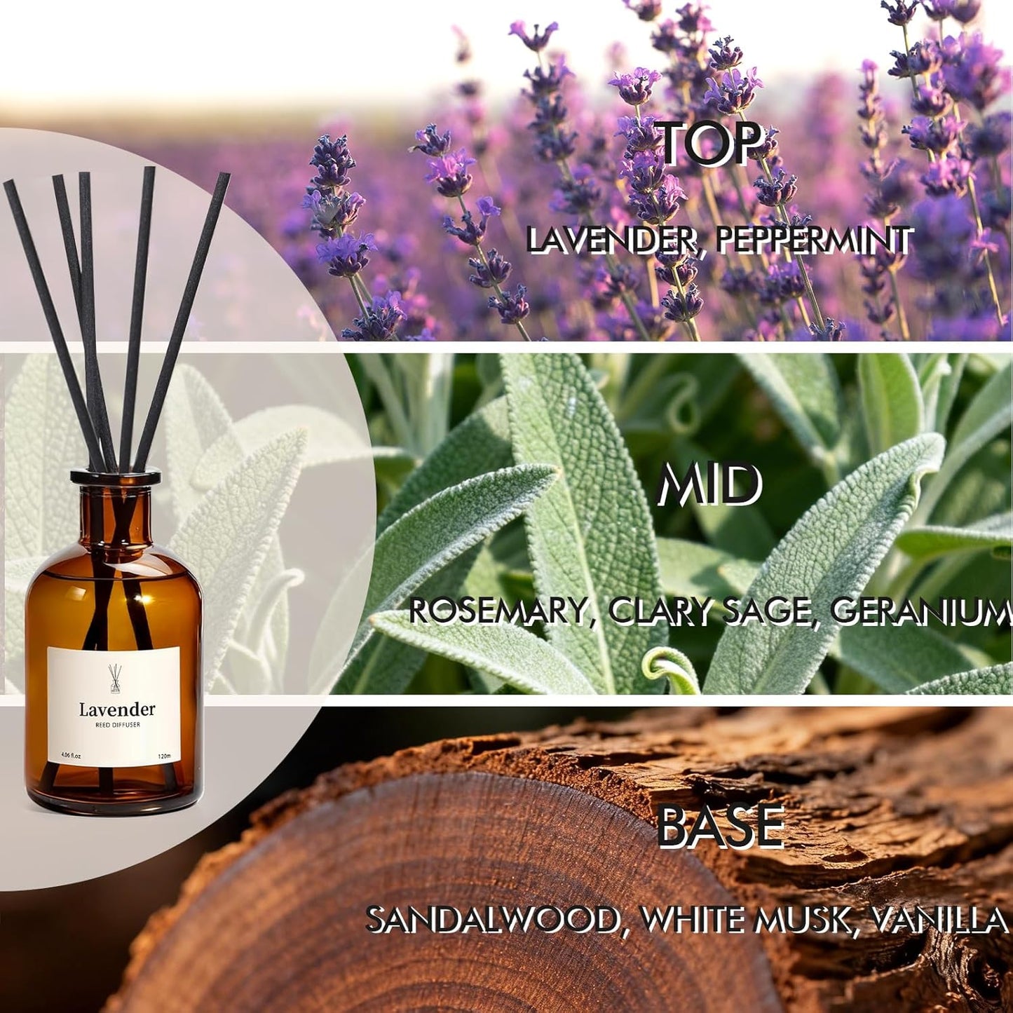 Reed Diffuser Set, 8.12 fl.oz Citrus Scent Oil Diffuser with Sticks, Long-Lasting Home Fragrance Reed Diffuser for Bathroom Shelf Decor, Air Freshener Room Diffuser, 2 Pack