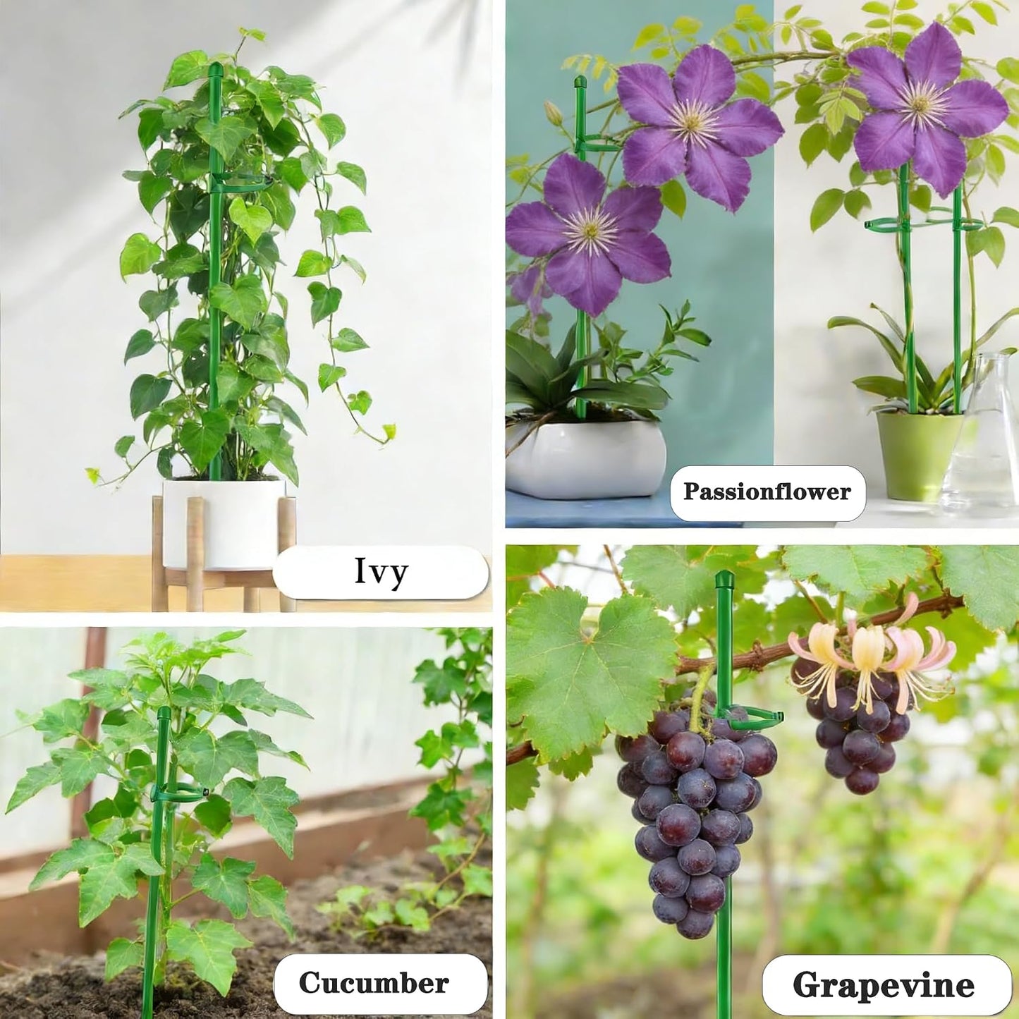 Plant Stakes for Indoor Plants,10PCS Plant Sticks 15.7in Plant Support Stakes for Potted Tomato Vegetables, Orchid Stakes with Clips for Indoor Outdoor