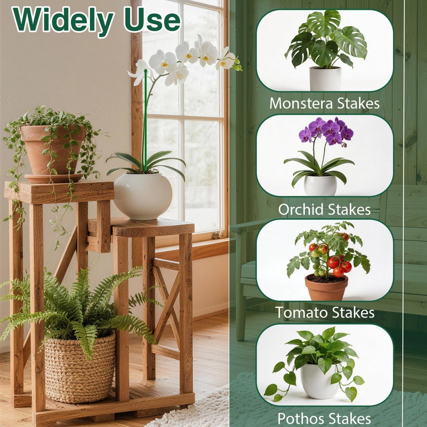 26Pcs Plant Support Combo, 5Pcs Stackable Monstera Plant Stakes Trellis+ 20Pcs Garden Clips + 1Pcs Ties, Moss Pole Alternative for Indoor Outdoor Climbing Vines Houseplants