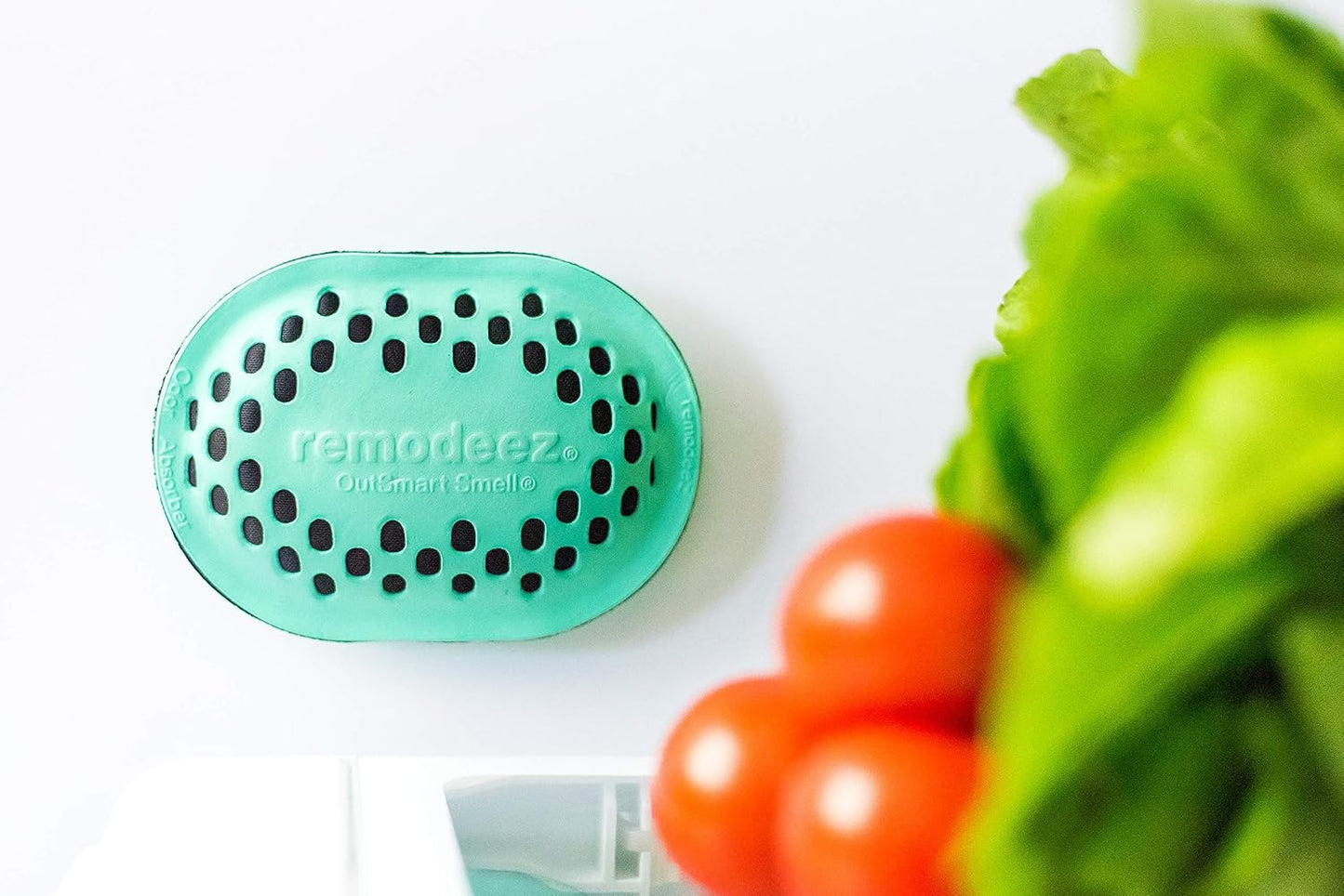 Remodeez Refrigerator Deodorizer with Activated Charcoal for Fridge