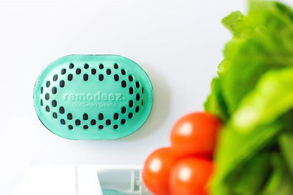 Remodeez Refrigerator Deodorizer with Activated Charcoal for Fridge