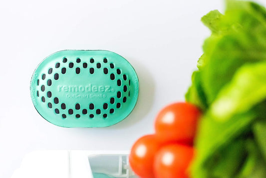 Remodeez Refrigerator Deodorizer with Activated Charcoal for Fridge