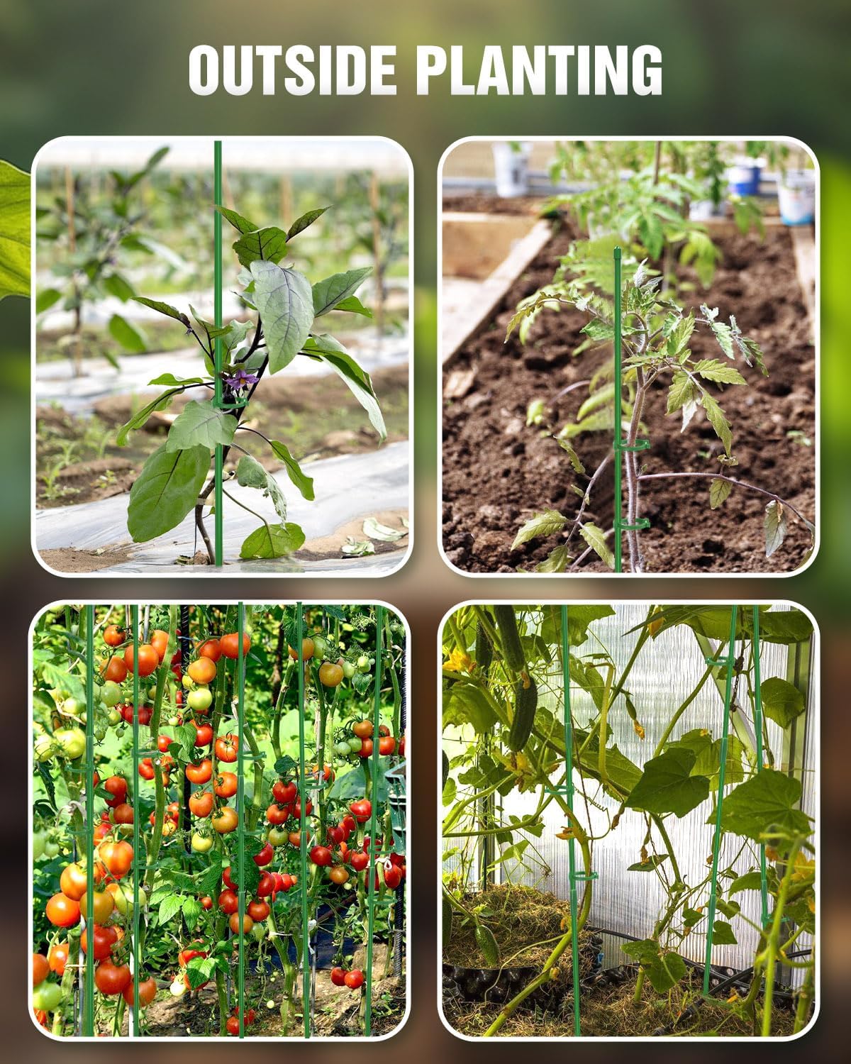 20 Pack 16 Inch Plant Support Stakes for Indoor & Garden | Sturdy plastic, Lightweight, Adjustable height, Easy install, Supports tomatoes, Beans, Orchids, Vegetables