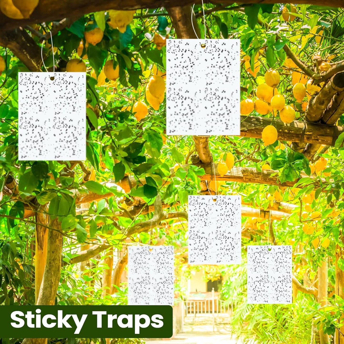 Qualirey 150 Pcs 6x8 Inch Yellow Sticky Traps for Gnats, Dual-Sided Sticky Gnat Traps for Indoor Outdoor Plants, Pest Control for Fungus Gnats, Fruit Flies, Whiteflies – Bulk Pack with Twist Ties