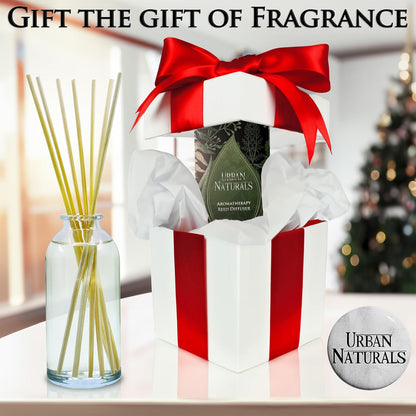 Urban Naturals Smoked Vanilla Reed Diffuser Set with Vanilla Bean, Sandalwood & Leather | Made in the USA - Colors B