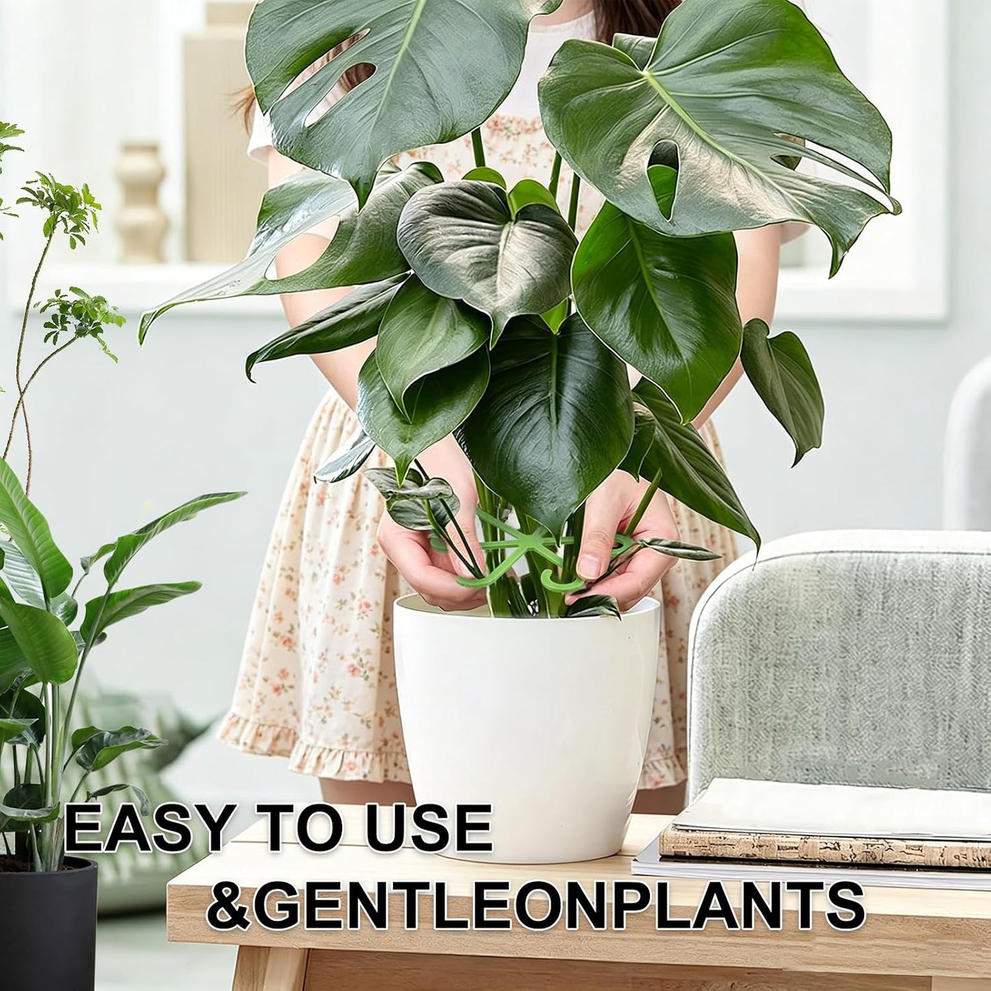 Monstera Plant Support, 16Pcs 4 Sizes Plant Stem Holders Reusable Plant Stakes for Indoor Plants Accessories Garden Tools