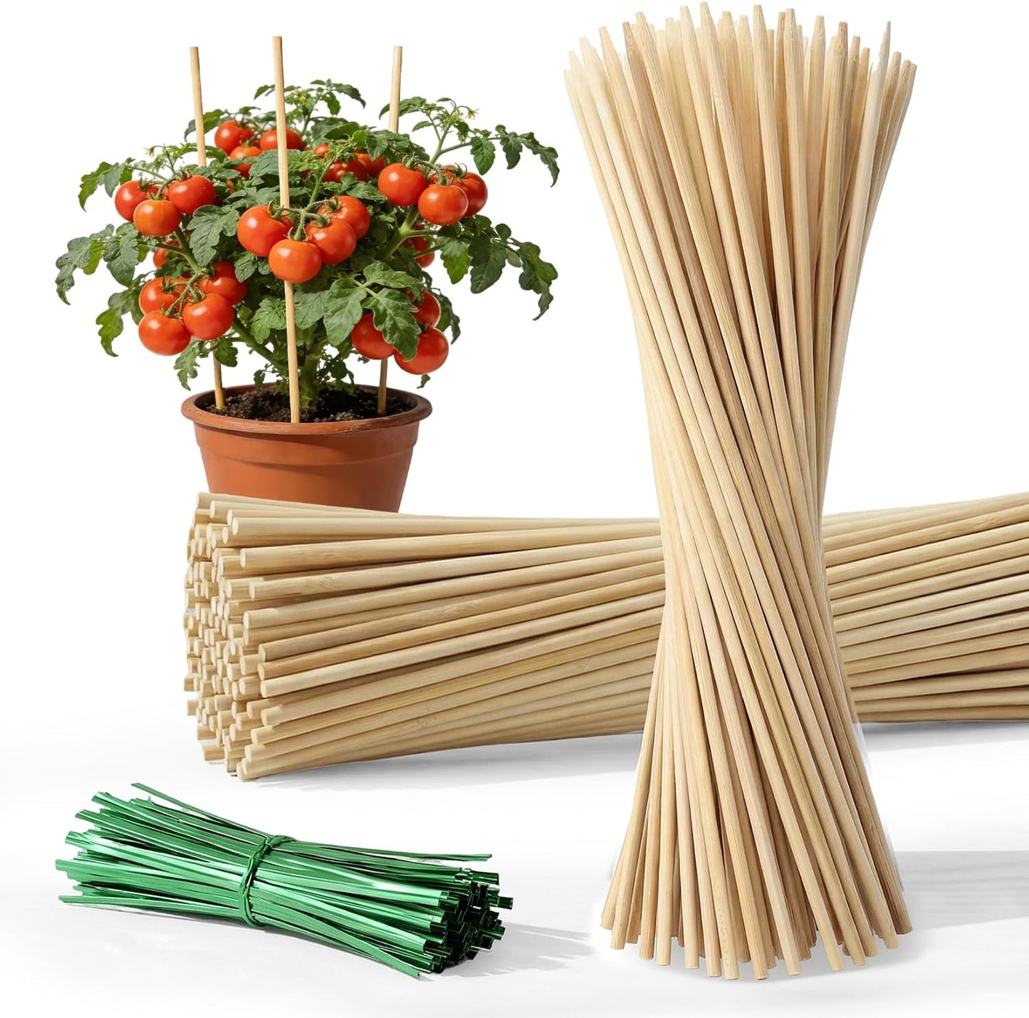 Plant Stakes for Indoor Plants – MAQIHAN 40PCS Plant Support Sticks, 9.8 Inch Stakes for Potted Plants, Orchids & Seedlings, Garden Stake with 30pcs Green Ties