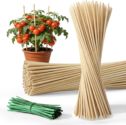 Plant Stakes for Indoor Plants – MAQIHAN 40PCS Plant Support Sticks, 9.8 Inch Stakes for Potted Plants, Orchids & Seedlings, Garden Stake with 30pcs Green Ties