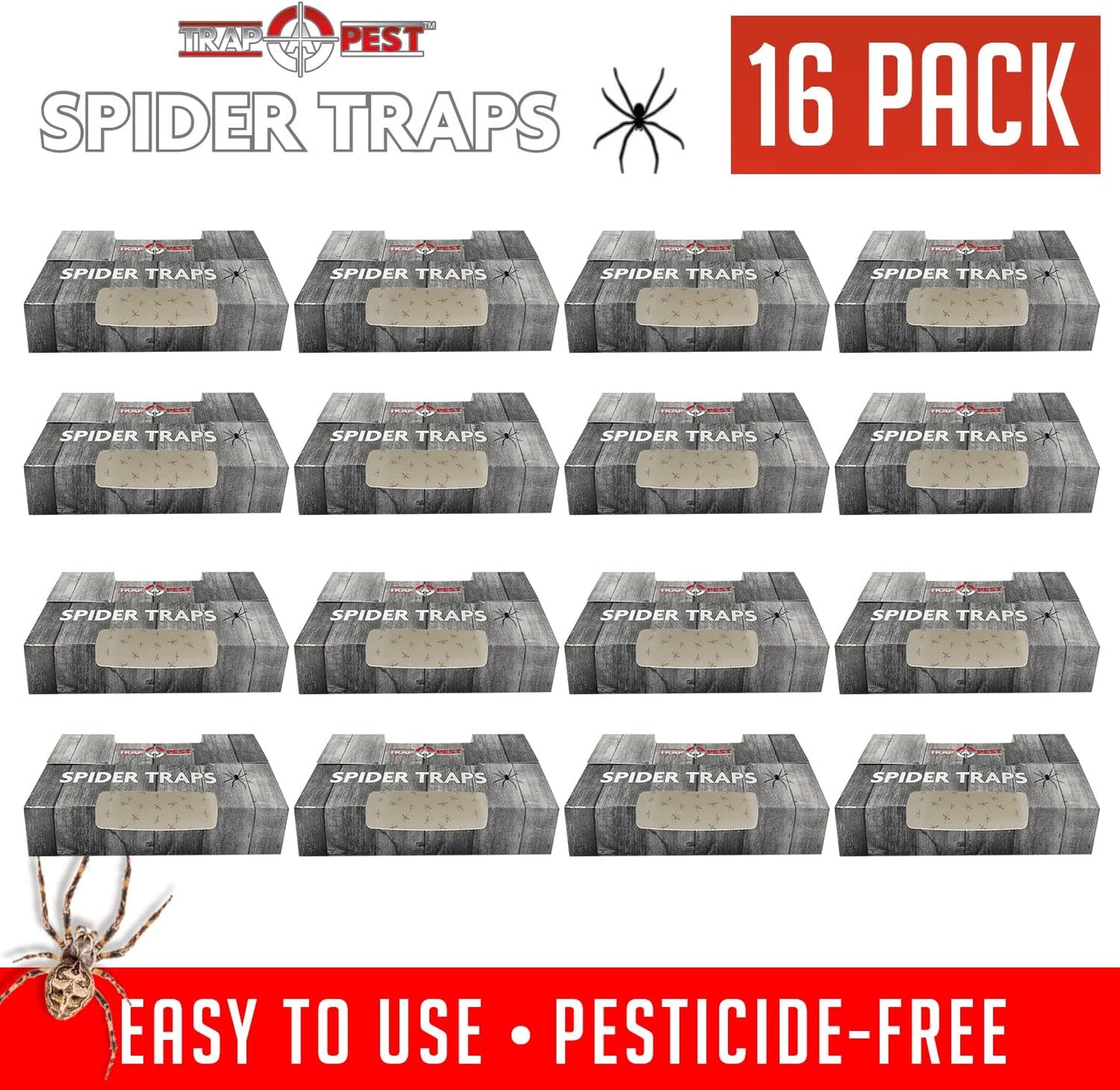 Spider Traps for Inside Your Home (16 Traps) - Spider Catcher Insect Traps Indoor - Spider Traps Indoor Bug Traps Sticky Traps for Spiders - Pre Baited Ultra Sticky Insect Glue Traps - Trap a Pest