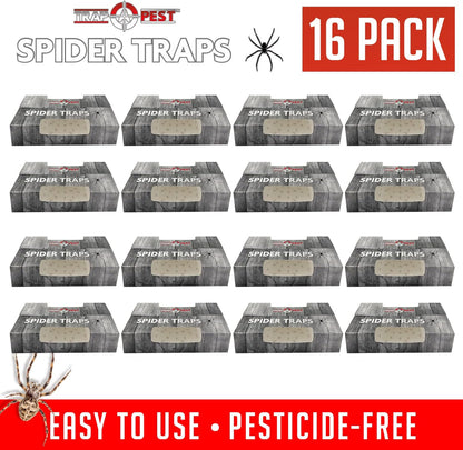 Spider Traps for Inside Your Home (16 Traps) - Spider Catcher Insect Traps Indoor - Spider Traps Indoor Bug Traps Sticky Traps for Spiders - Pre Baited Ultra Sticky Insect Glue Traps - Trap a Pest