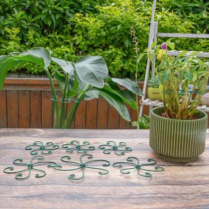 Yohsnor Monstera Plant Stem Support System - 5 Piece Set (5.5x4.7in) | Durable Plant Support Stakes for Climbing Plants & Fishbone Cactus | Ideal Leaf Stabilizer for Indoor Plants & Monstera Care