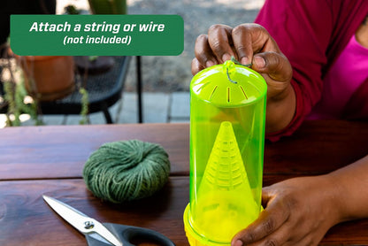 RESCUE! Reusable Yellowjacket Trap – Includes Attractant - 6 Traps