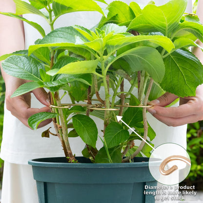 5PCS Monstera Plant Stem Support Stakes - 5.5 * 5.5IN Metal Supports for Monstera and Fishbone Cactus, Sturdy Frame, Easy Installation, Flexible Protection for Healthy Growth Indoors