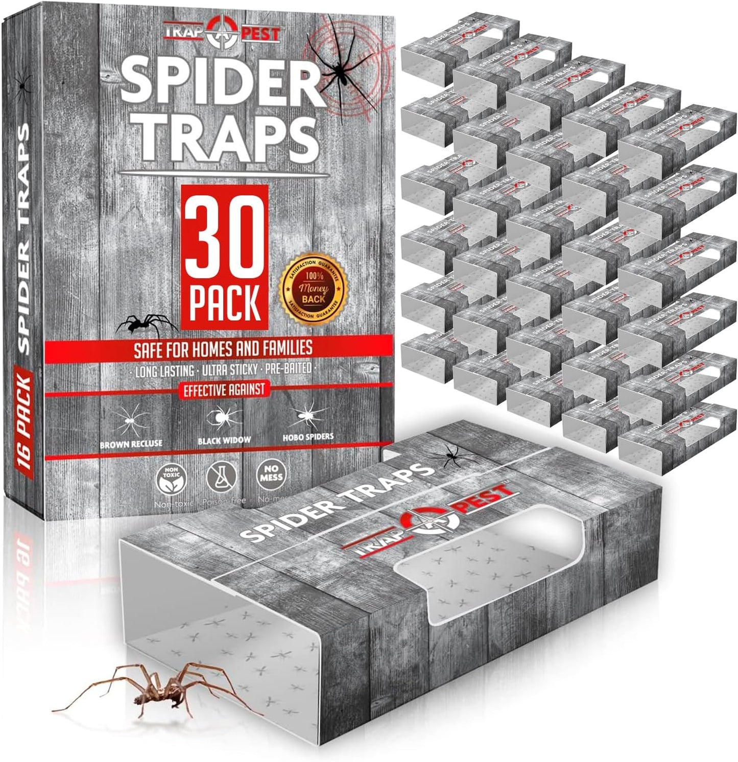 Spider Traps for Inside Your Home (16 Traps) - Spider Catcher Insect Traps Indoor - Spider Traps Indoor Bug Traps Sticky Traps for Spiders - Pre Baited Ultra Sticky Insect Glue Traps - Trap a Pest