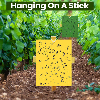 Qualirey 150 Pcs 6x8 Inch Yellow Sticky Traps for Gnats, Dual-Sided Sticky Gnat Traps for Indoor Outdoor Plants, Pest Control for Fungus Gnats, Fruit Flies, Whiteflies – Bulk Pack with Twist Ties